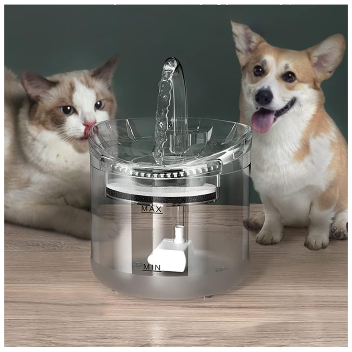 Fuente de Agua Transparente 1.6 L para Mascotas