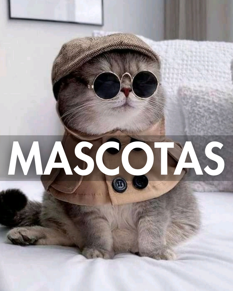 MASCOTAS
