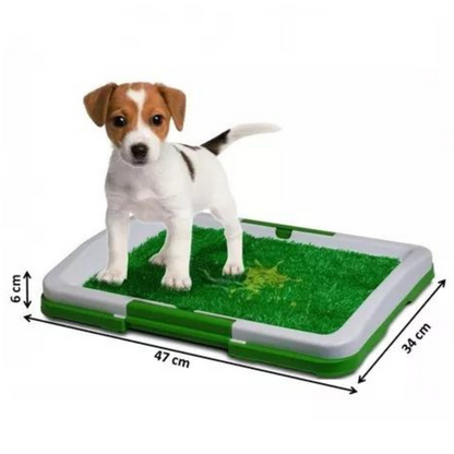 Orinal de Hierba Artificial para Mascotas