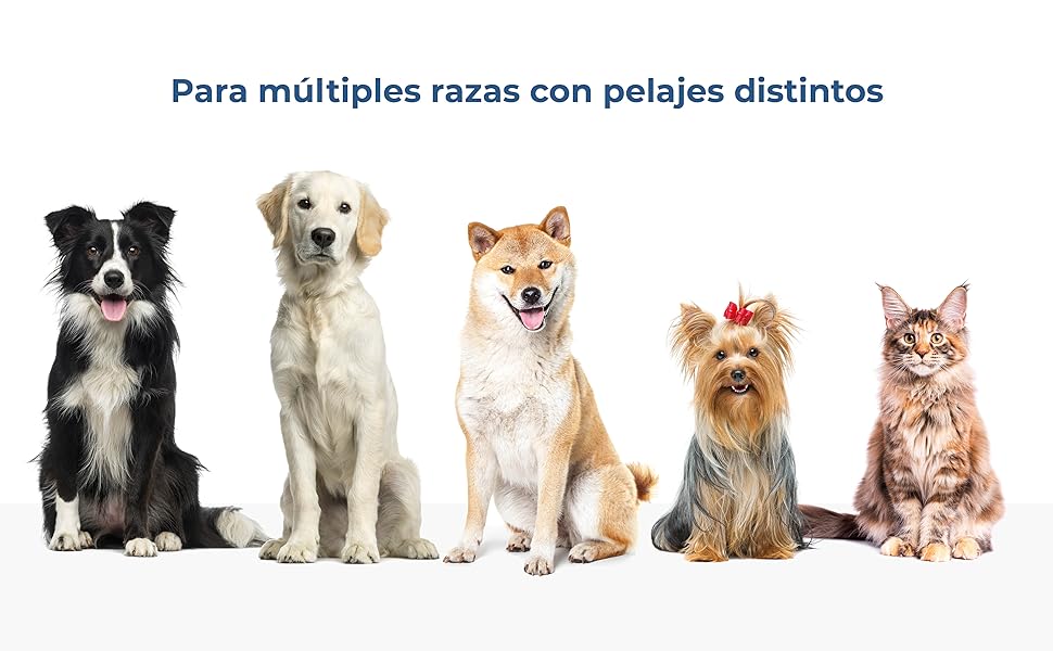 Secador de Pelo para Mascotas 2 en 1