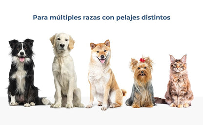 Secador de Pelo para Mascotas 2 en 1